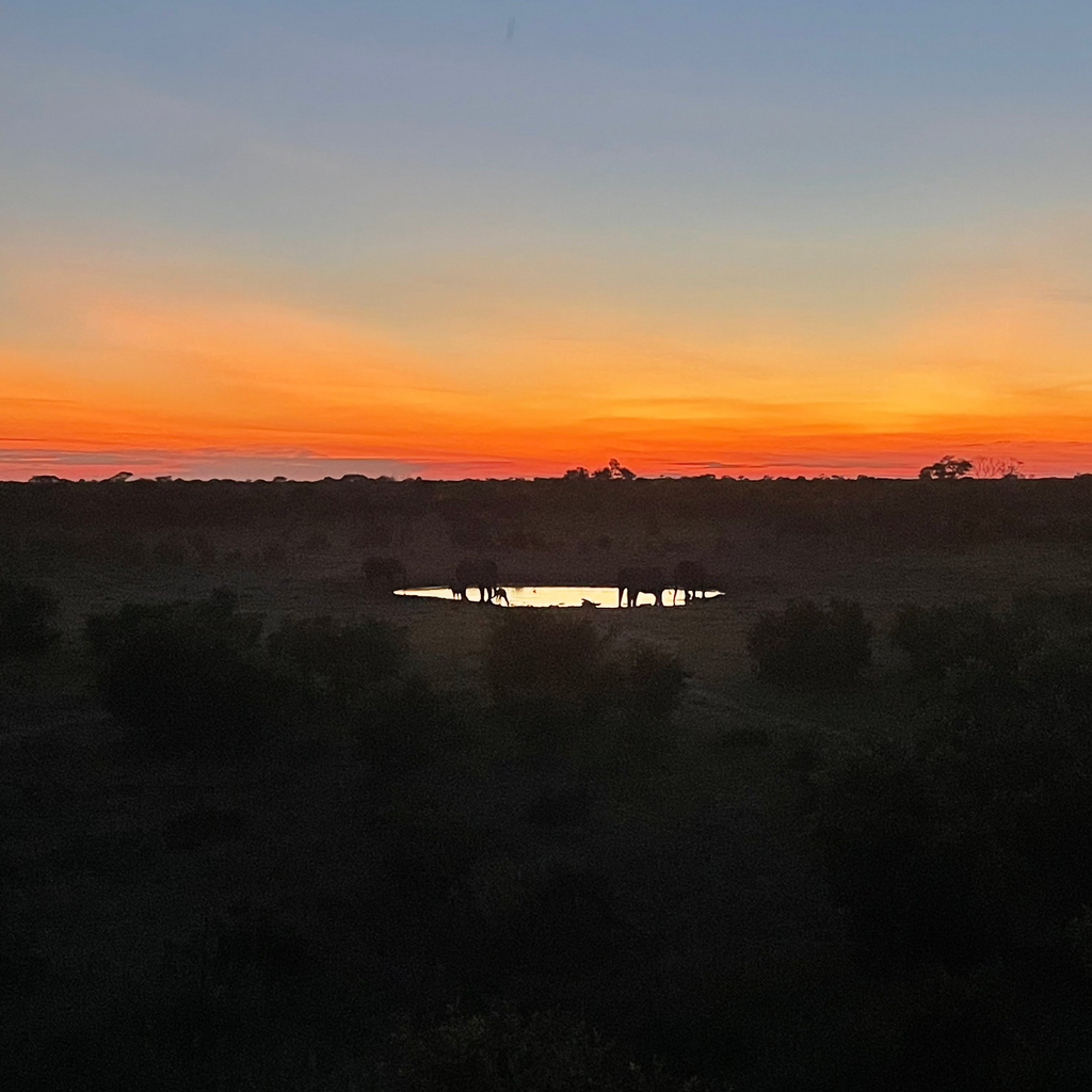 Ultimate Tarot and Reiki Bundle (CJ's Favorite)